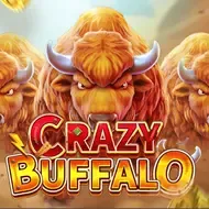 CRAZY BUFFALO screenshot